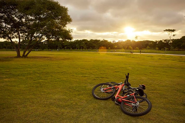 imagem de bicicleta na grama em parque próximo ao bairro pinheiros em são paulo