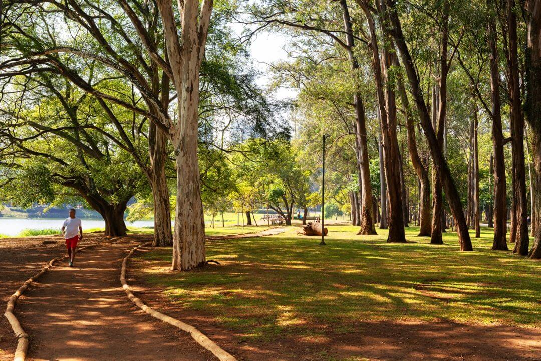 Foto do parque Ibirapuera que fica próximo ao condomínio de luxo Setin