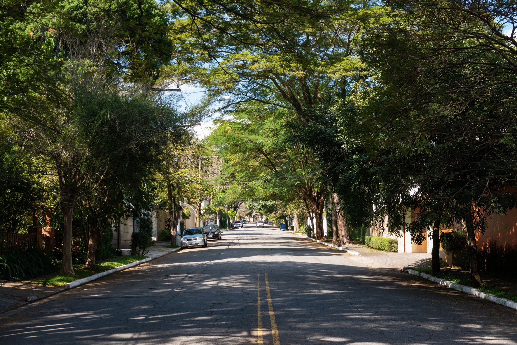 Foto da Rua da Fraternidade, no Alto da Boa Vista, com várias árvores que deixam a rua com um ar de interior. 