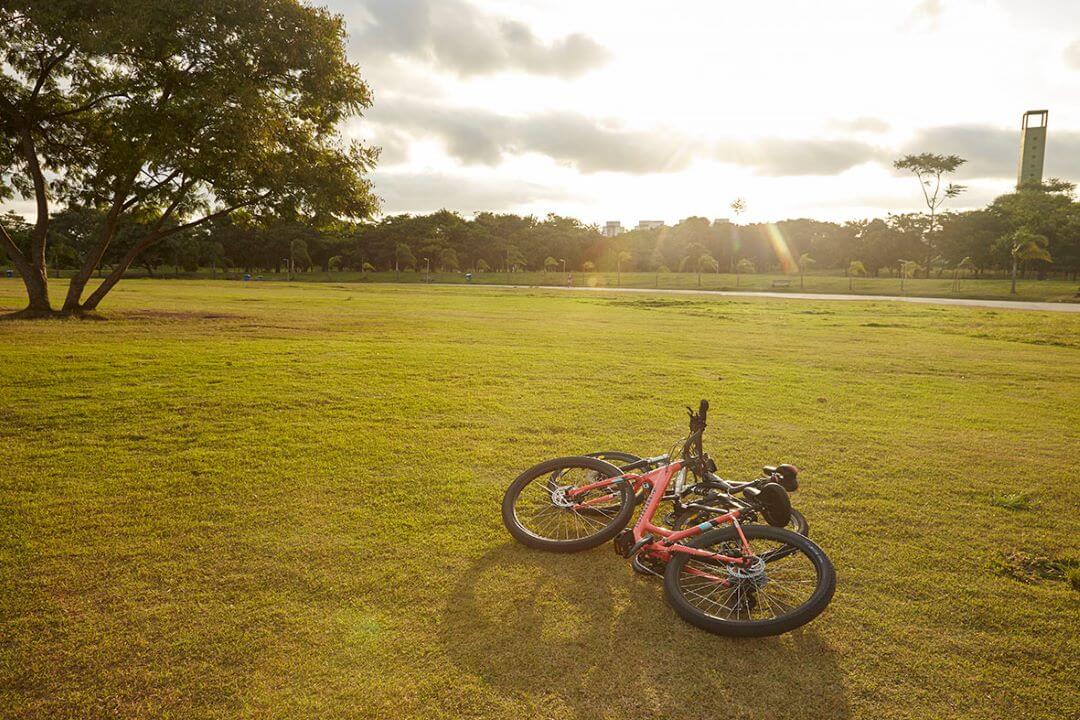 Foto de duas bicicletas na grama do parque em São Paulo