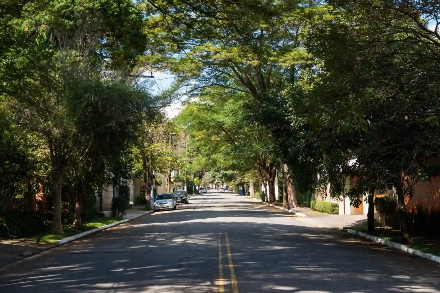 A imagem mostra uma rua arborizada no bairro Alto da Boa Vista, localizado no distrito de Santo Amaro, em São Paulo.
