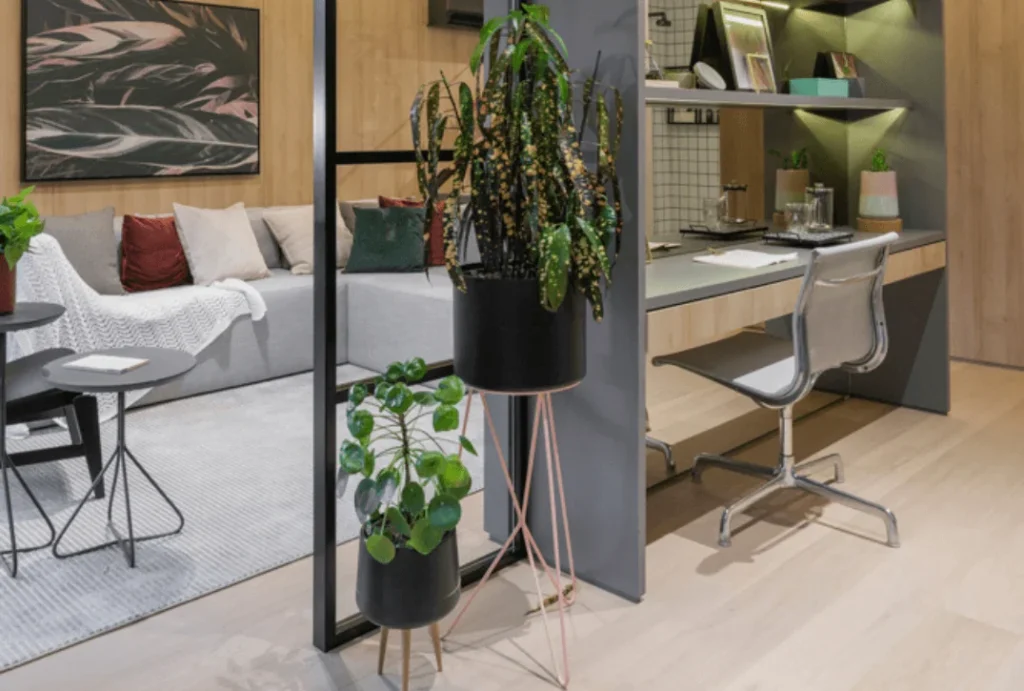 A imagem mostra um espaço de escritório em casa (home office) com um ambiente moderno e plantas decorativas. A planta em destaque é uma begônia, provavelmente da espécie Begonia maculata, conhecida por suas folhas ornamentais com manchas brancas e prateadas. 