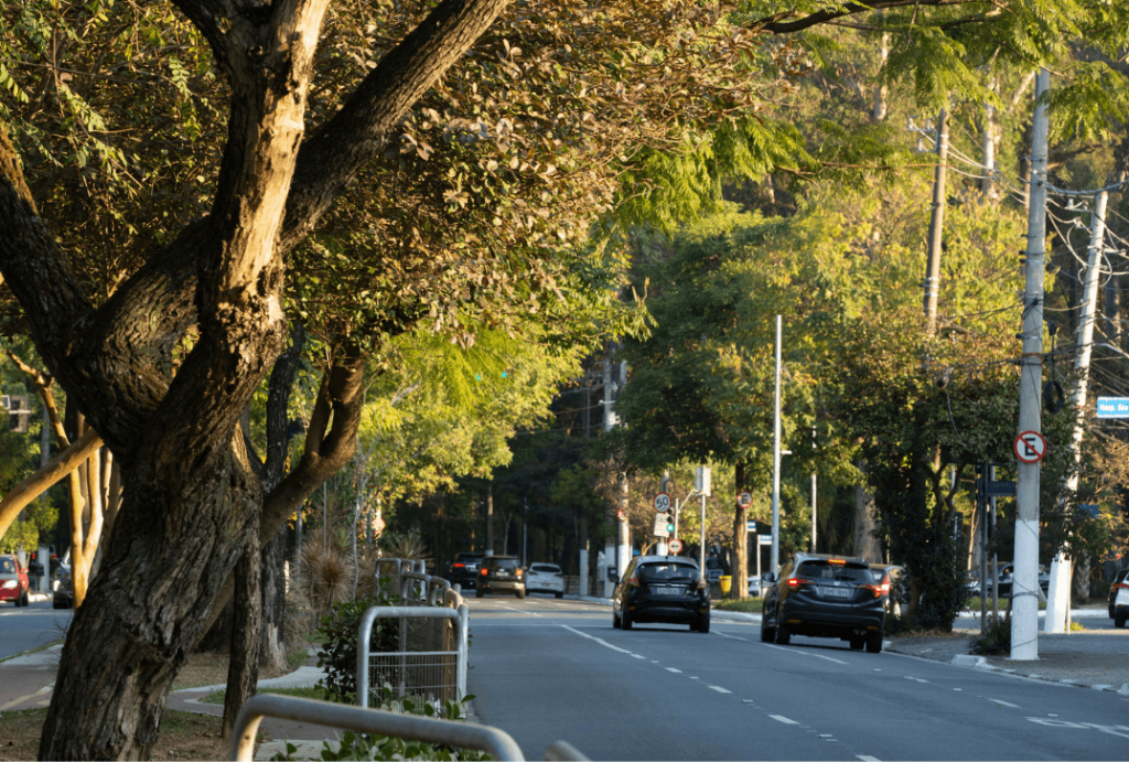 Jardim Paulista
