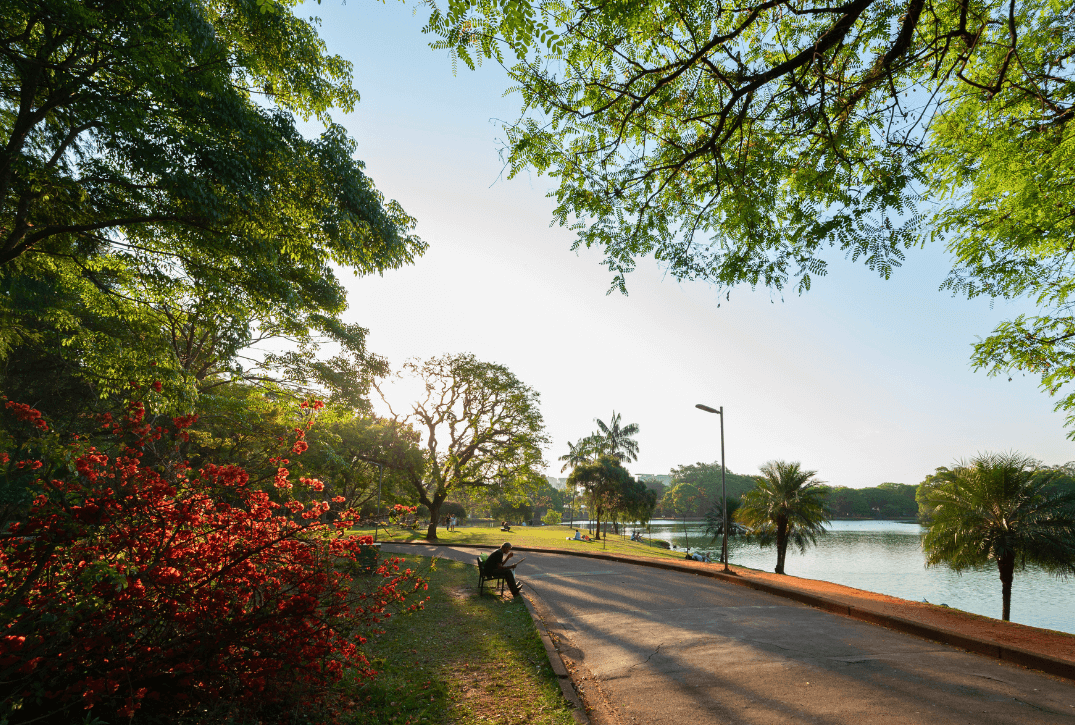 morar ao lado do Ibirapuera
