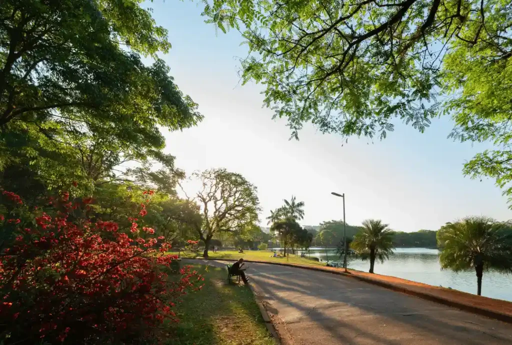 morar ao lado do Ibirapuera
