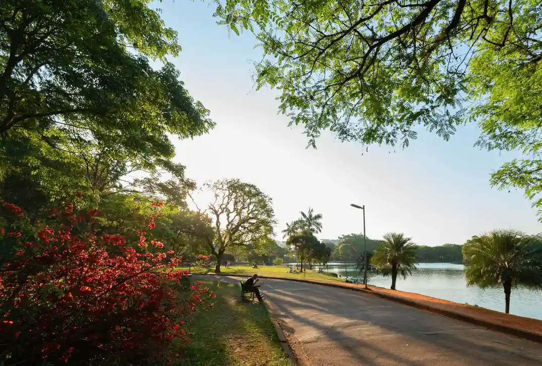 morar ao lado do Ibirapuera