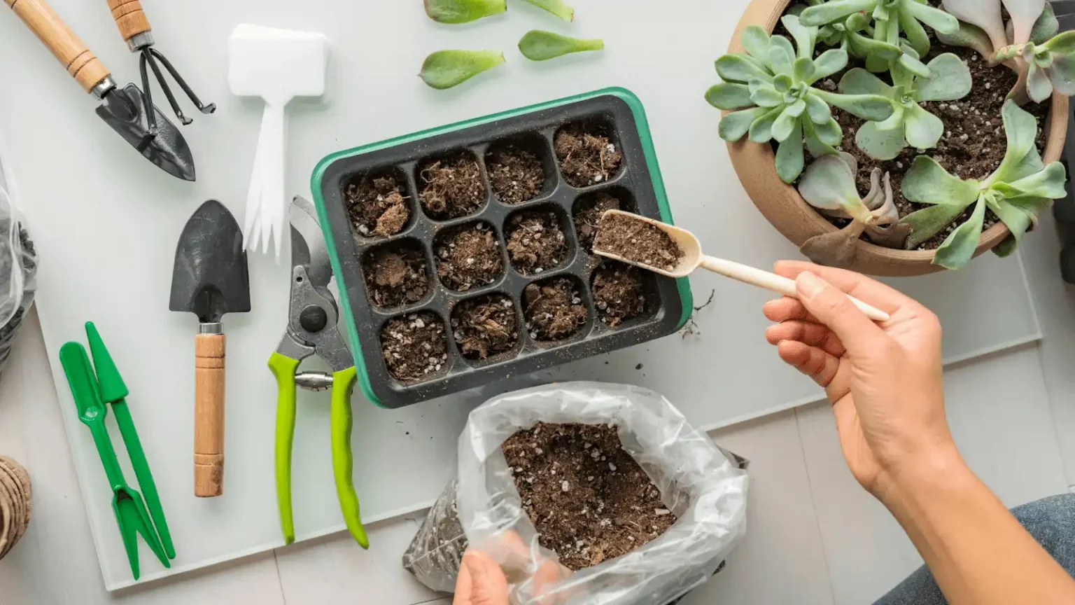 horta vertical